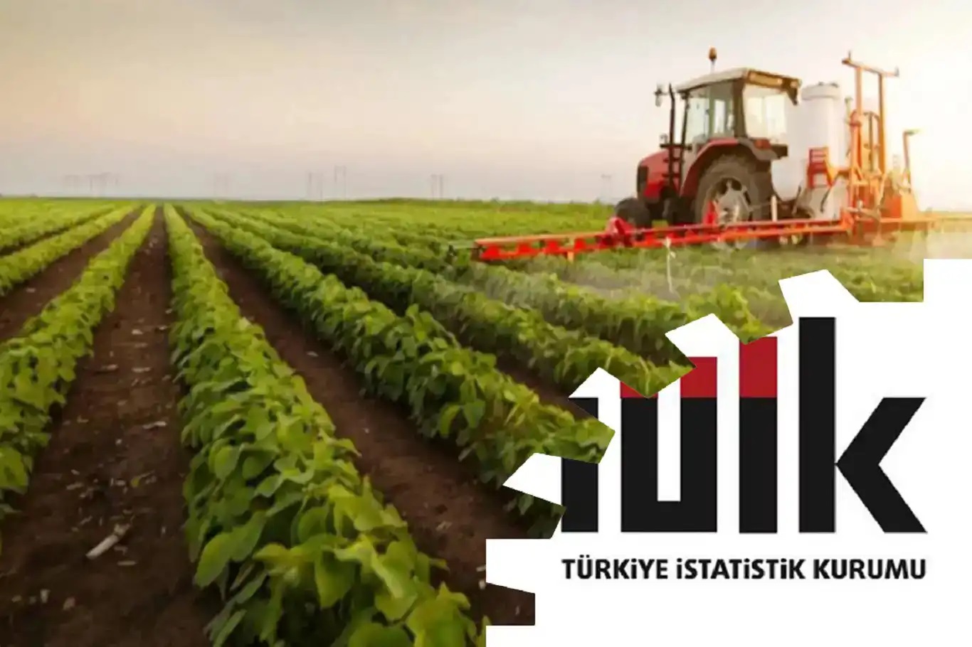 Tarım Ürünleri Üretici Fiyat Endeksi eylülde yıllık yüzde 12,93 arttı
