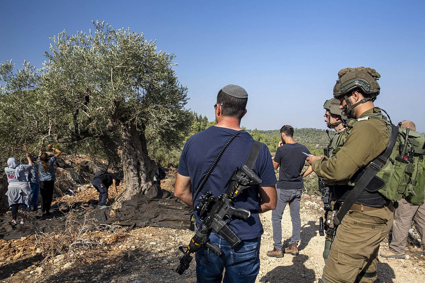 Israeli settlers steal olives, agricultural tools from Palestinian farmers in West Bank