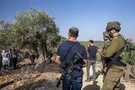 Israeli settlers steal olives, agricultural tools from Palestinian farmers in West Bank
