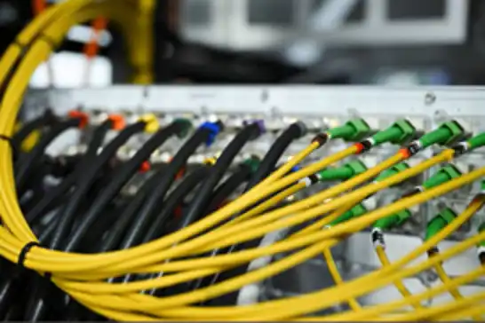 Avustralya hükümet siteleri PHP güvenlik açığından etkilendi