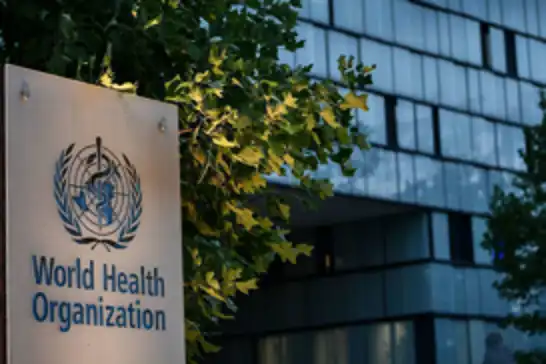 WHO investigates first documented human Shamonda virus infection in France