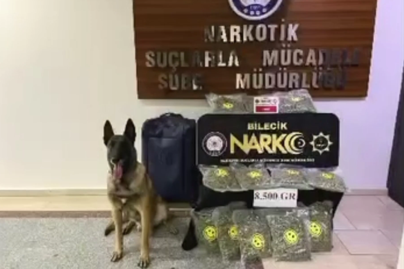Bilecik’te 8,5 kilo skunk ele geçirildi: 2 şüpheli tutuklandı