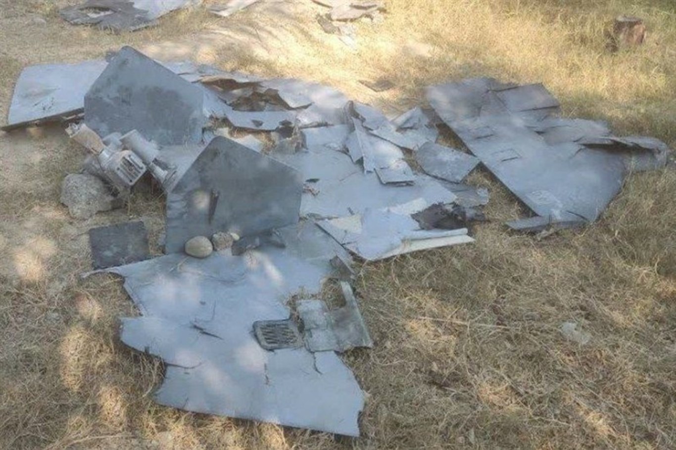 Iranian army says it destroyed US Lucas drone over Bandar Abbas