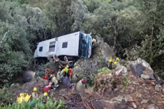 83 injured after bus plunges down embankment near Barcelona