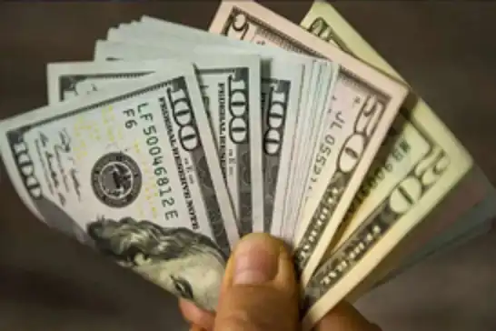 Dolar iki haftanın zirvesine yakın