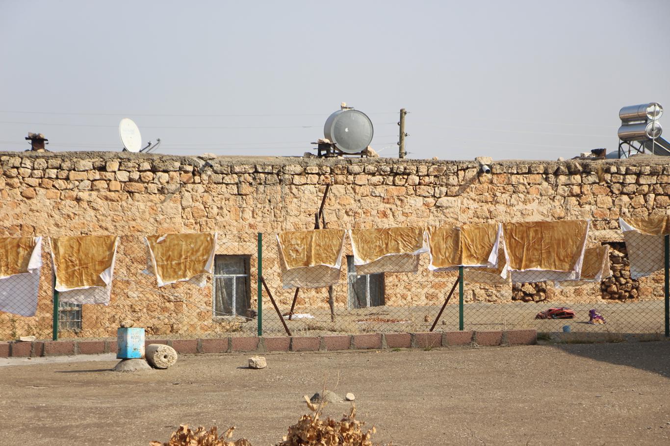 Mardin'de asırlık lezzet: Pekmez, pestil ve cevizli sucuk bereketi