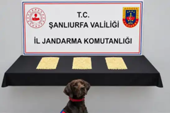 Şanlıurfa'da uyuşturucu operasyonu: 2 bin 970 Captagon hap ele geçirildi