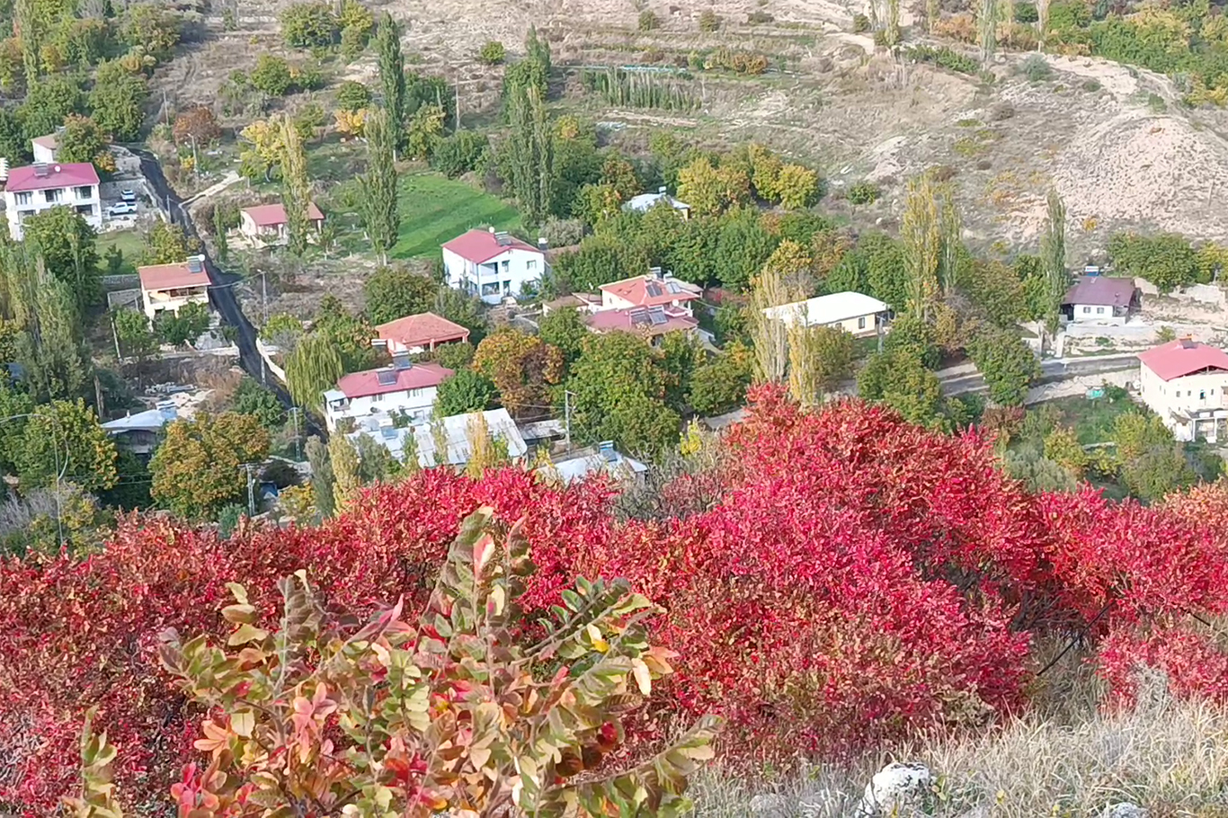 Günpınar Vadisi'nde sonbaharın renk cümbüşü