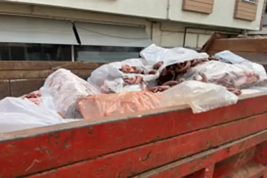Sucukta domuz eti skandalı: İşletme kapatıldı