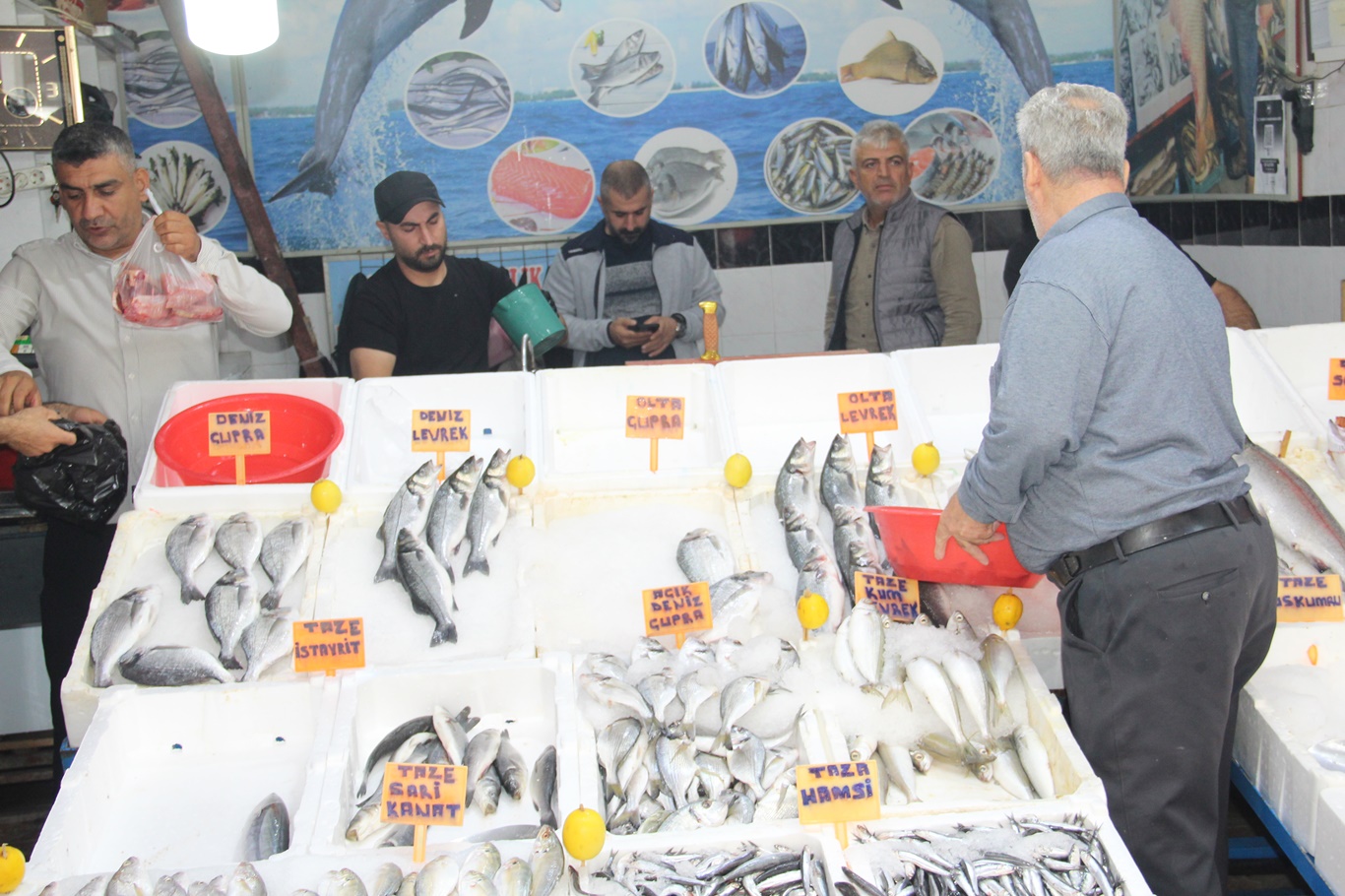 Balık tezgâhlarında bereket başladı: Çeşit bol, fiyatlar geçen yıla göre daha uygun