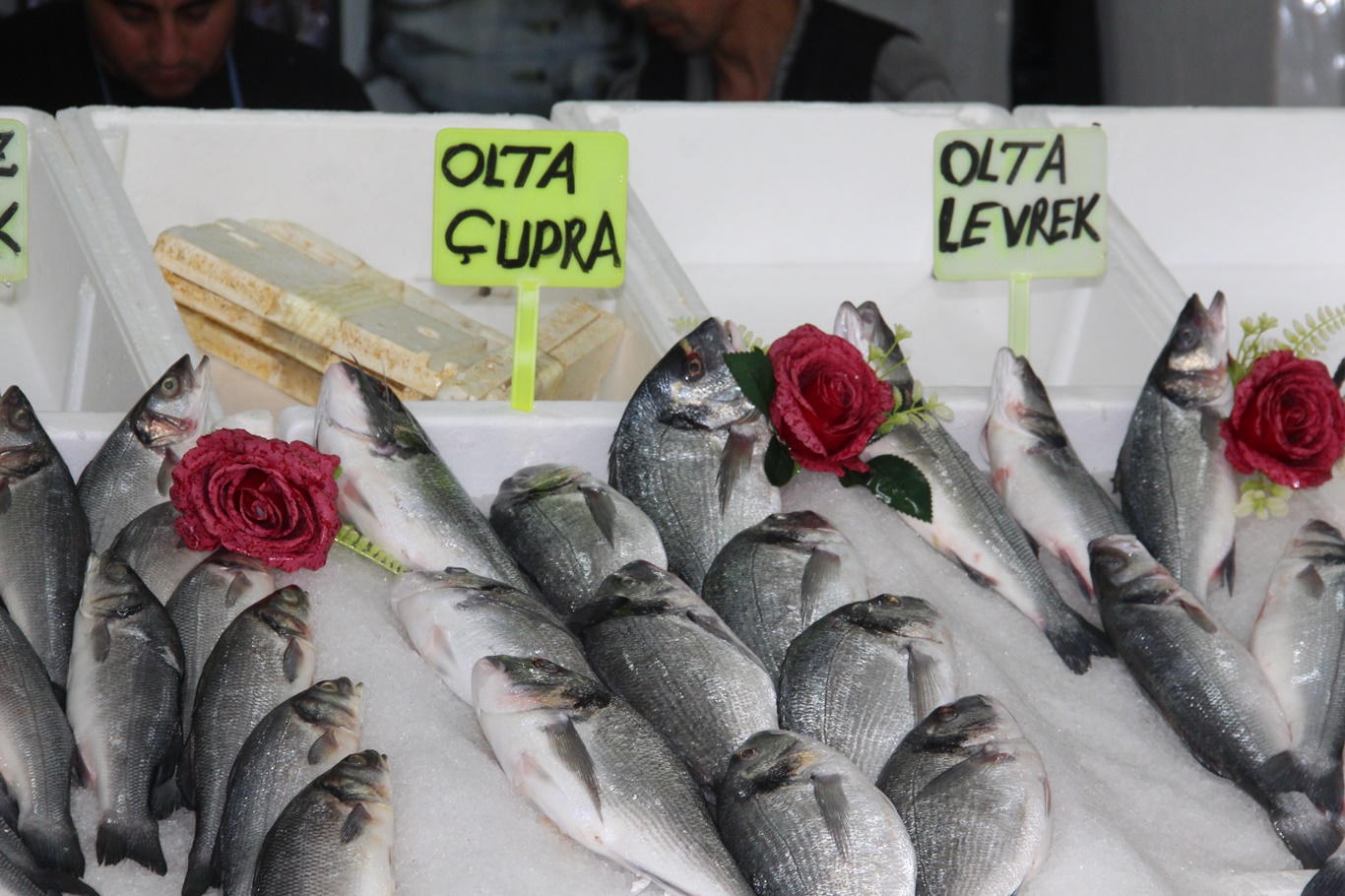 Balık tezgâhlarında bereket başladı: Çeşit bol, fiyatlar geçen yıla göre daha uygun