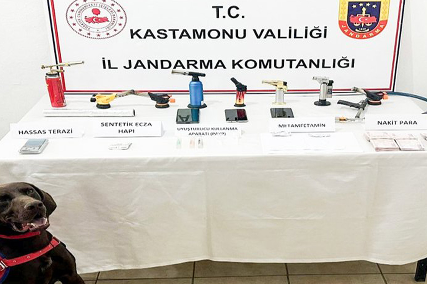 Kastamonu'da uyuşturucu operasyonu: Bir şüpheli tutuklandı