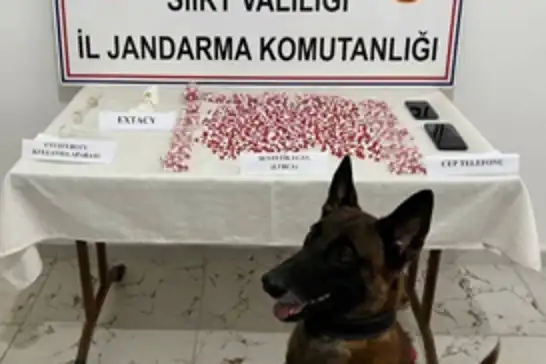 Siirt’te uyuşturucu operasyonu: 2 bin 650 hap ele geçirildi