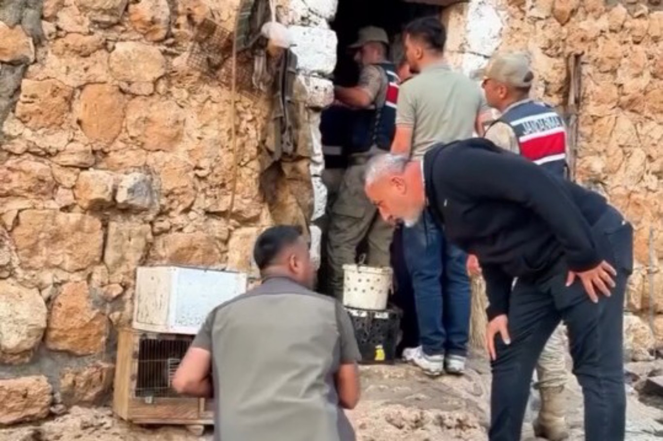 Mardin’de kaçak keklik avlayan kişiye 129 bin lira ceza