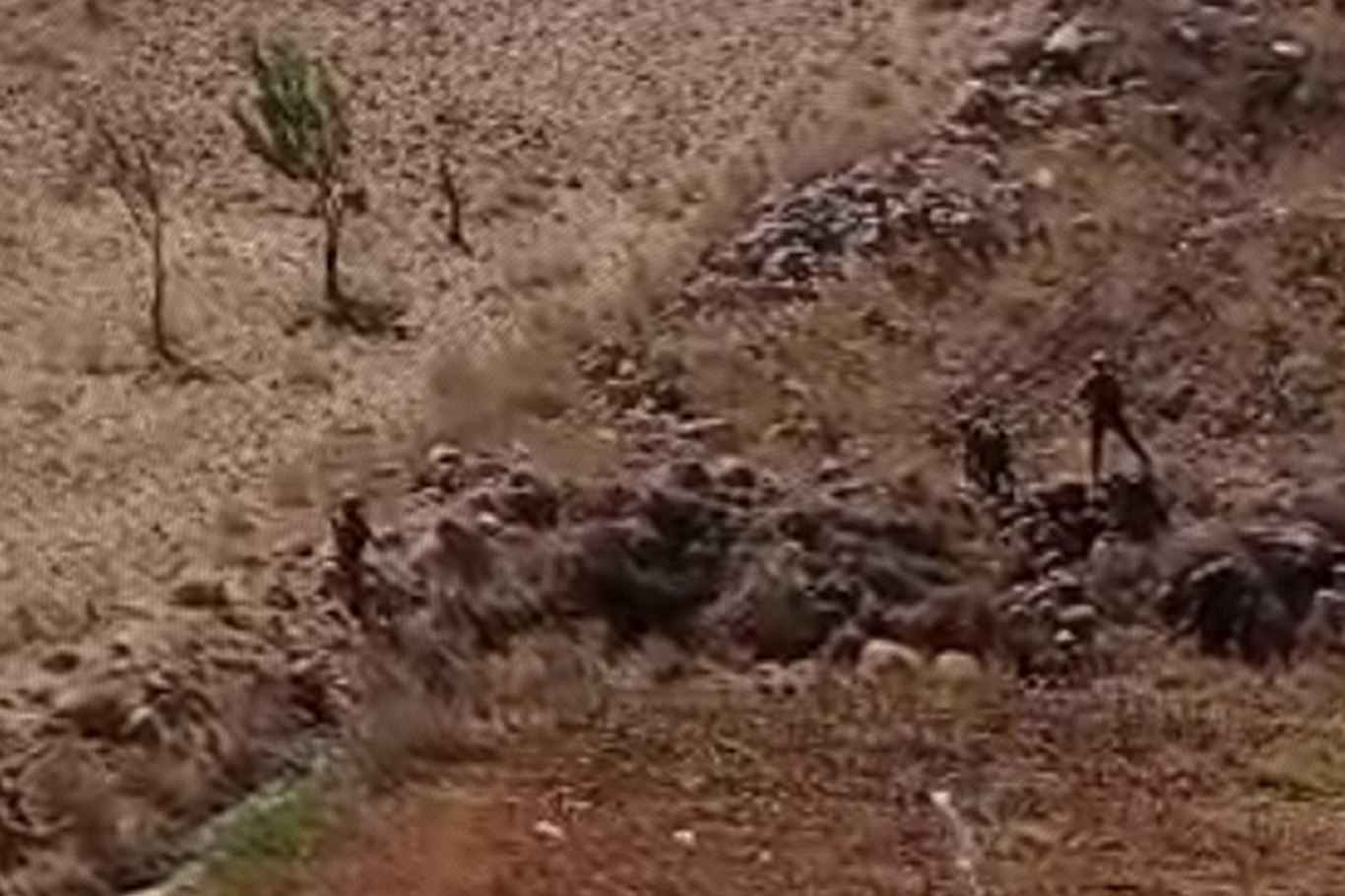 Îşxalkeran li gundewarê Sûrîyeyê kesekî seqet birîndar kirin û revandin