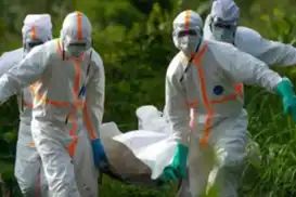 Lassa fever death toll rises to 263 in Nigeria