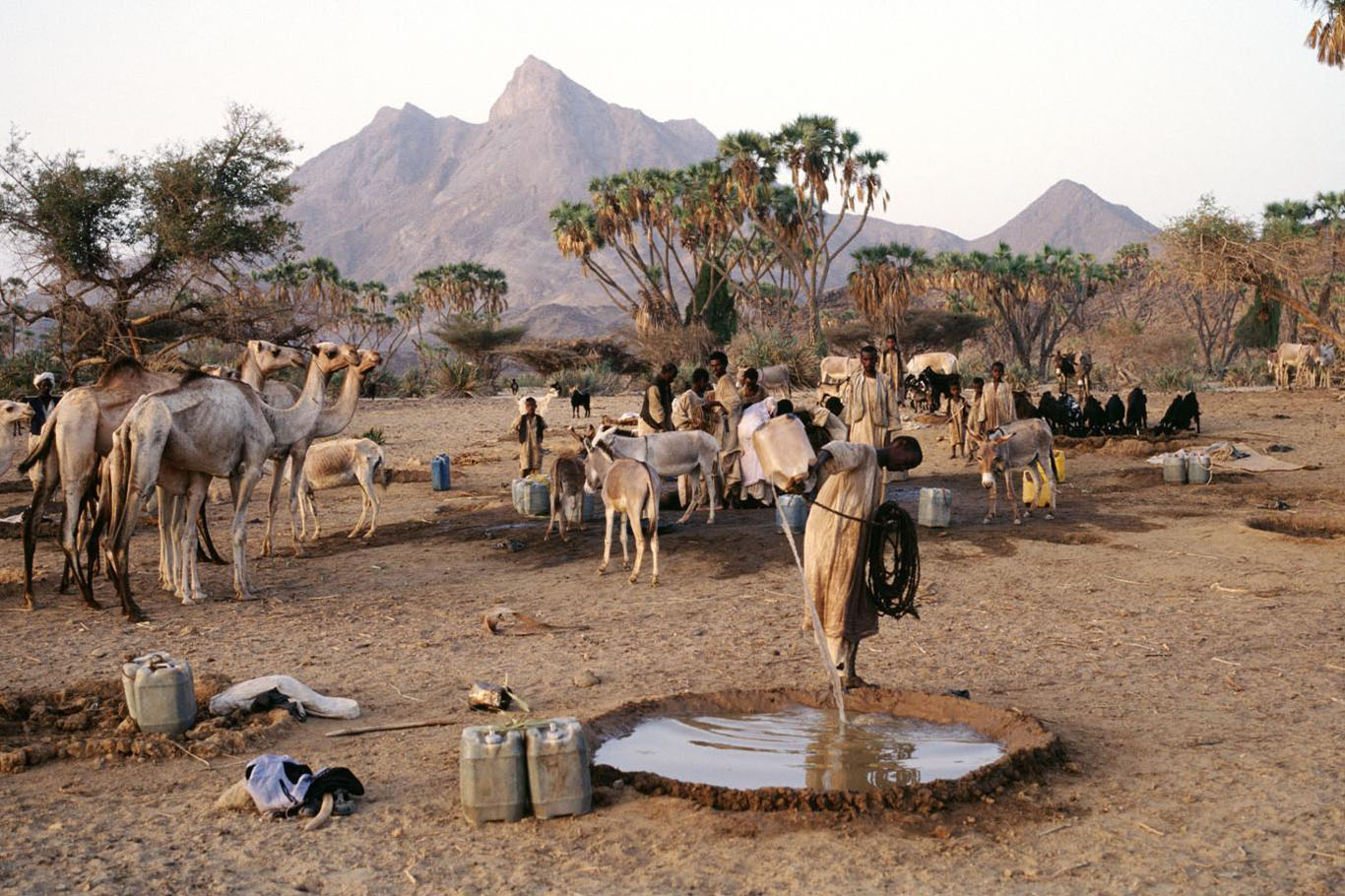 Sudan'da savaş: El-Ubeyd kuşatma altında, göçerler hayata tutunamıyor