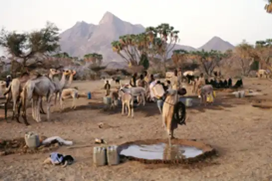 Sudan'da savaş: El-Ubeyd kuşatma altında, göçerler hayata tutunamıyor