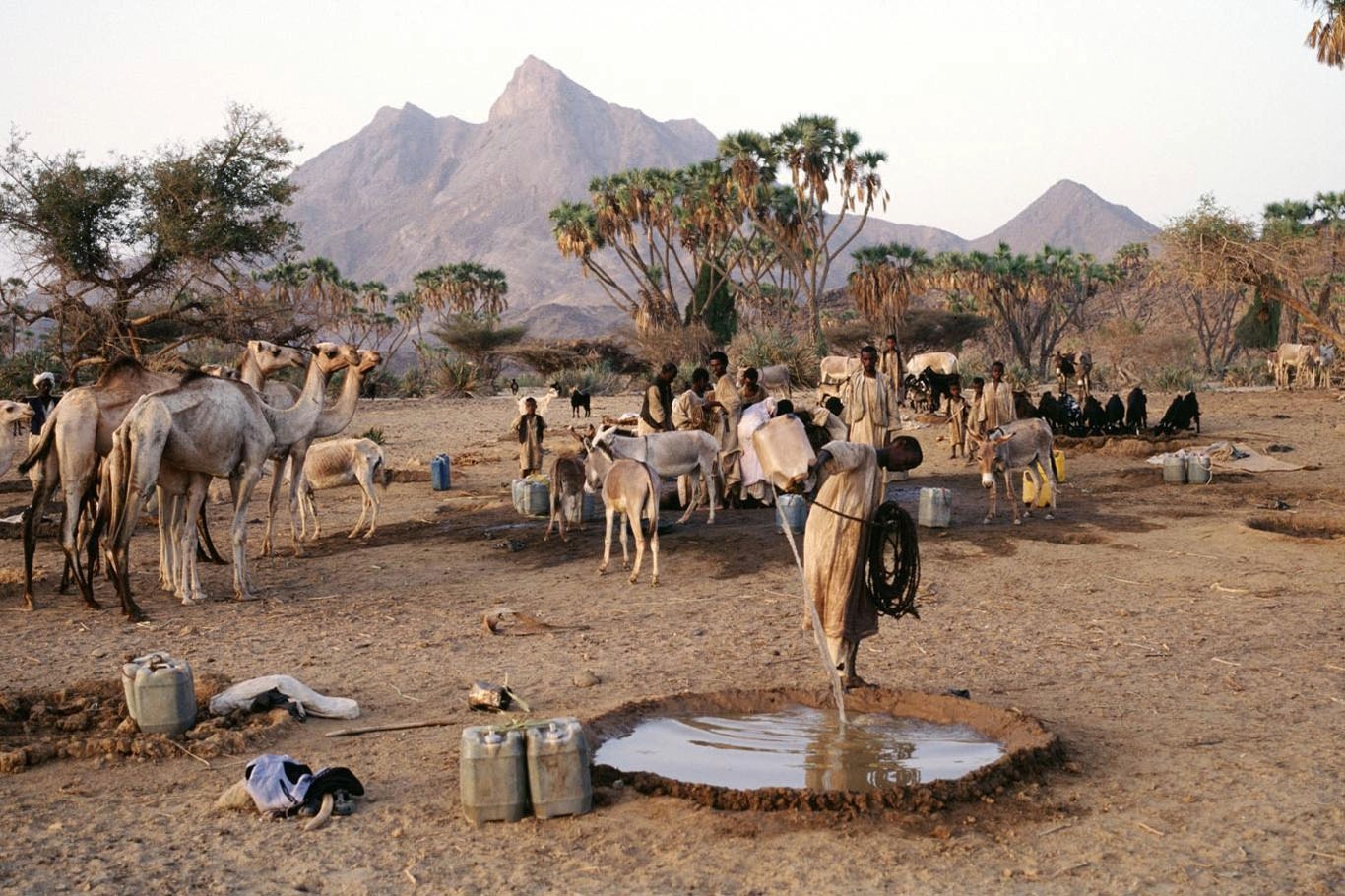 السودان..ملايين البدو عالقون بين انعدام الأمن والجوع والتوترات العرقية