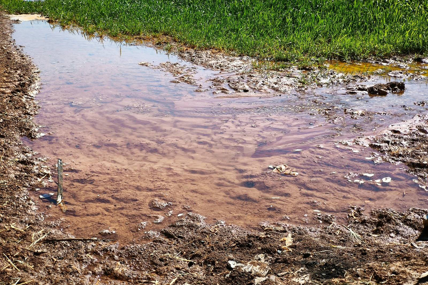 Şanlıurfa’da elektriğin yarısı kaçak kullanılıyor