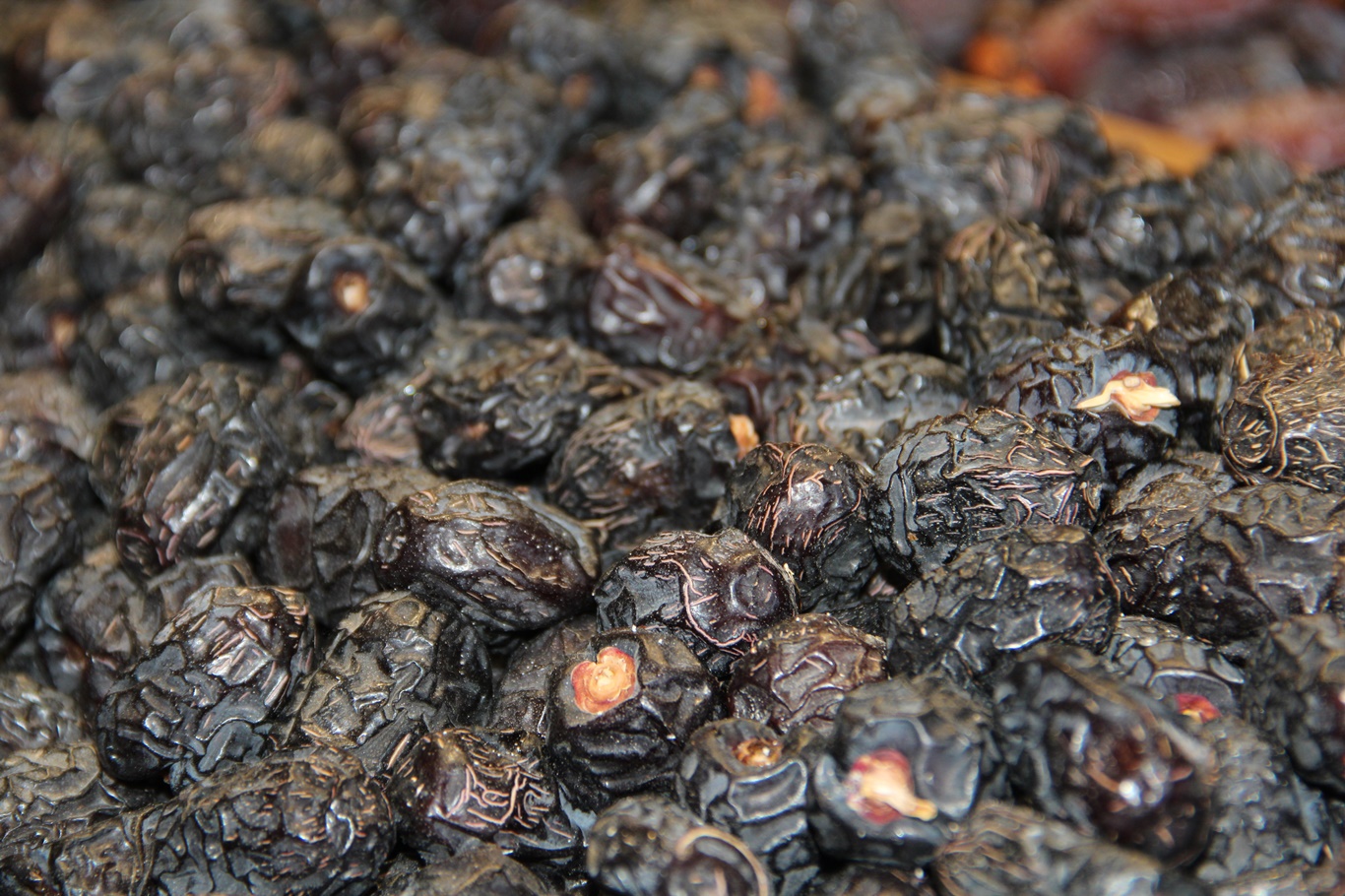 Ramazan öncesi hurma tezgâhlarında hareketlilik başladı