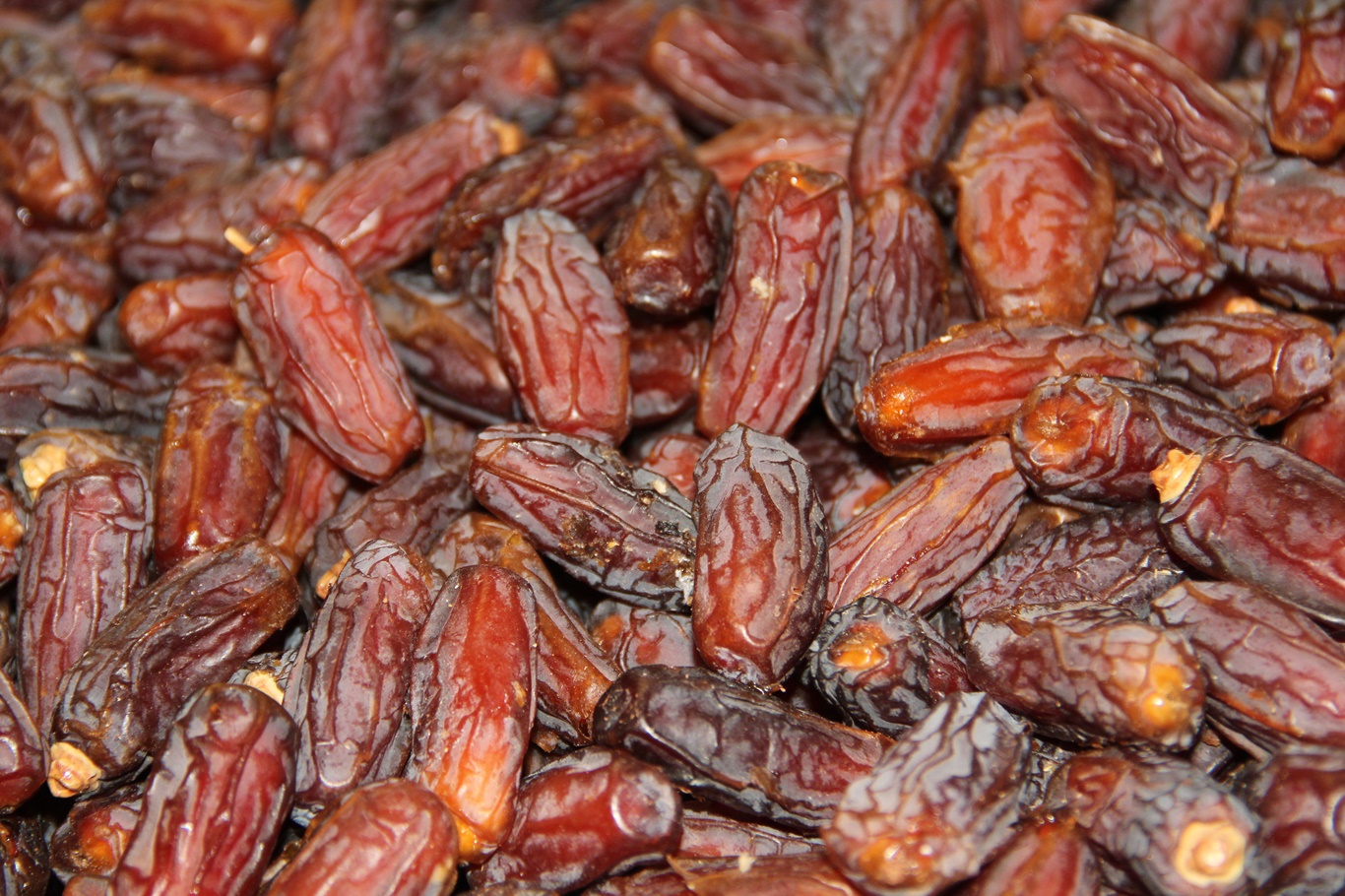 Ramazan öncesi hurma tezgâhlarında hareketlilik başladı