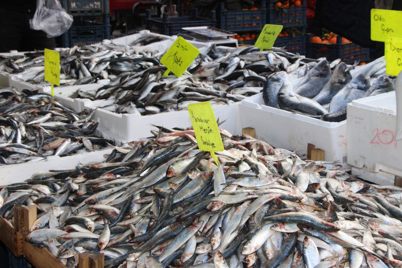 Ramazan ayına bir hafta kala pazar esnafı: Ramazan’ın bereketi yavaştan oluşmaya başladı