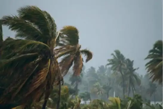 Madagaskar'ı Gezani Kasırgası vurdu:  36 ölü, 6 kayıp