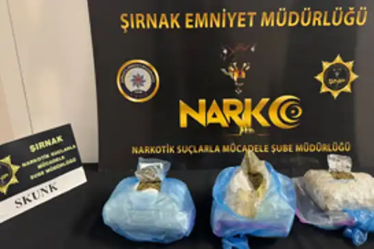 Şırnak'ta 1 kilo 431 gram Skunk ele geçirildi: 2 kişi tutuklandı