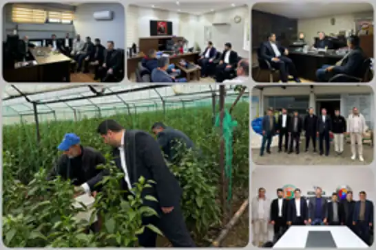 HÜDA PAR Antalya Teşkilatından, Kumluca'da sektör temsilcileri ve üreticilere ziyaret 