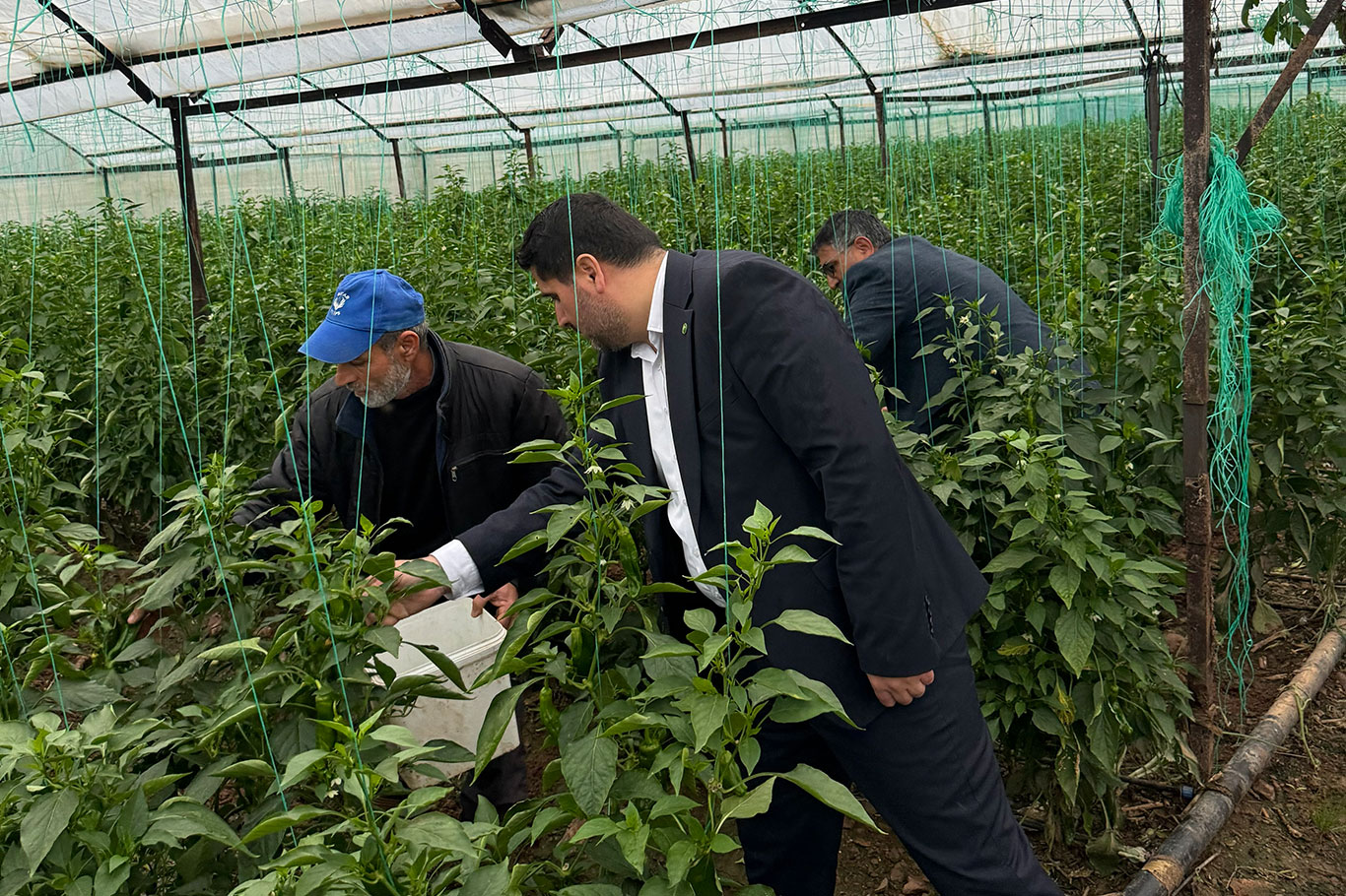 HÜDA PAR Antalya Teşkilatından, Kumluca'da sektör temsilcileri ve üreticilere ziyaret 