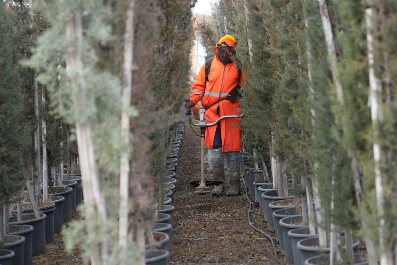 Malatya'da yeşil alanlarda kapsamlı çalışma yürütülüyor
