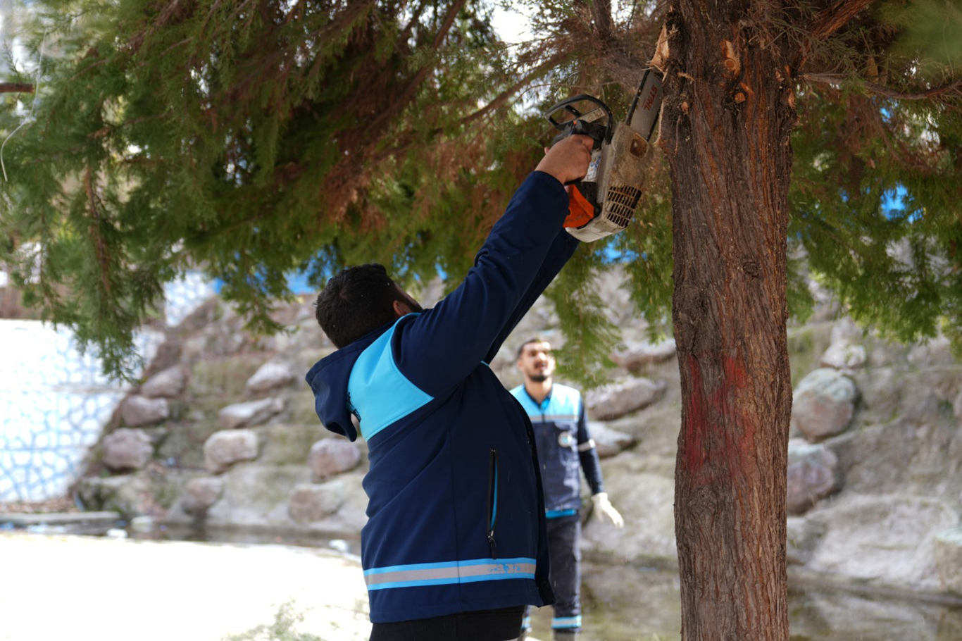 Malatya'da yeşil alanlarda kapsamlı çalışma yürütülüyor
