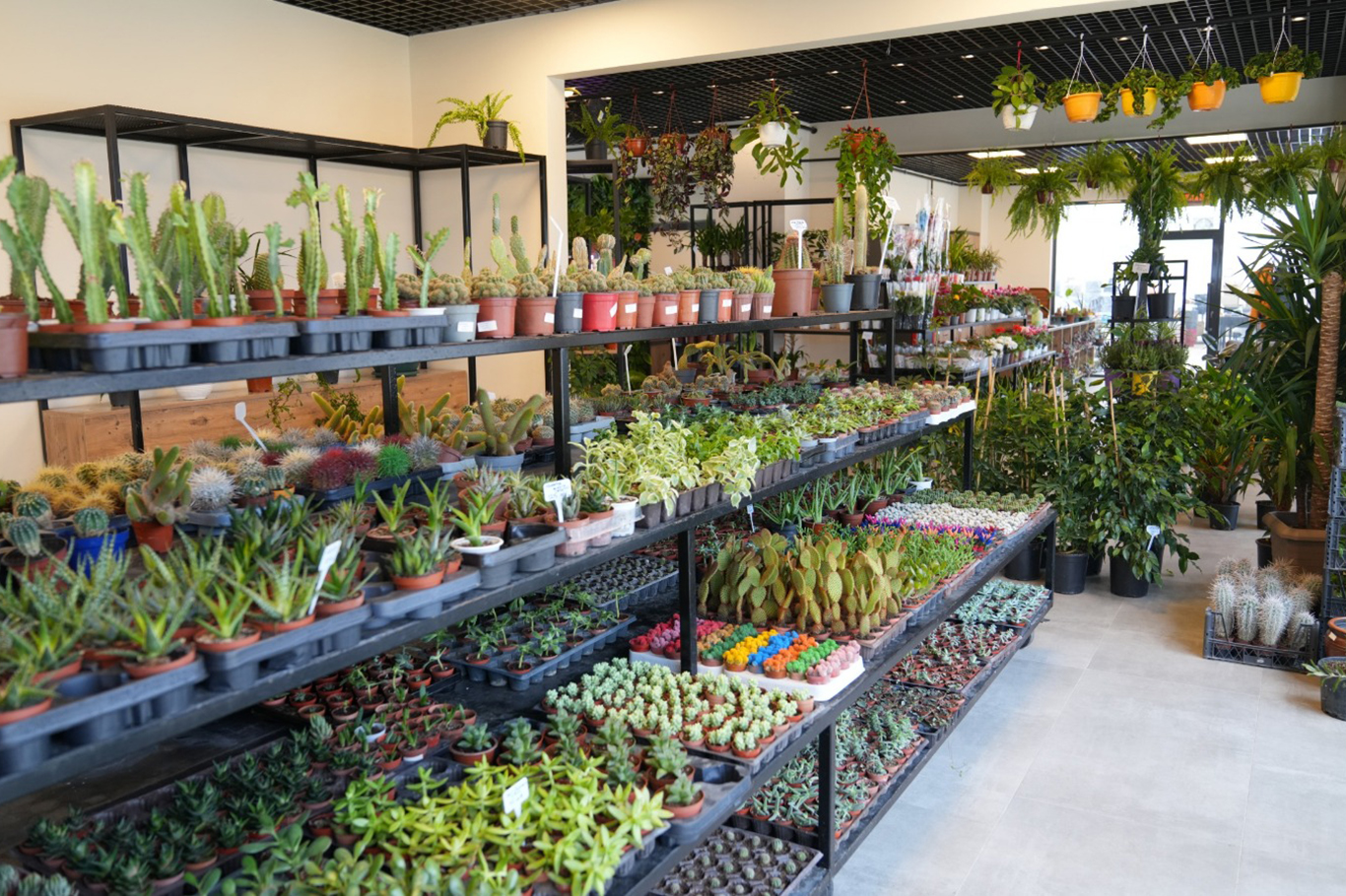 Malatya'da yeşil alanlarda kapsamlı çalışma yürütülüyor