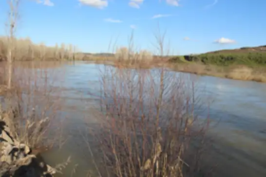 On Gözlü Köprü çevresinde su yükseldi: Dicle Nehri'nde son durum