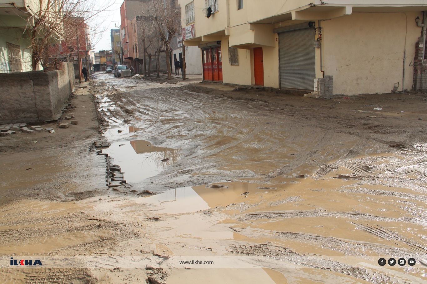 15005609-2035-4809-ba67-556a6fc83569