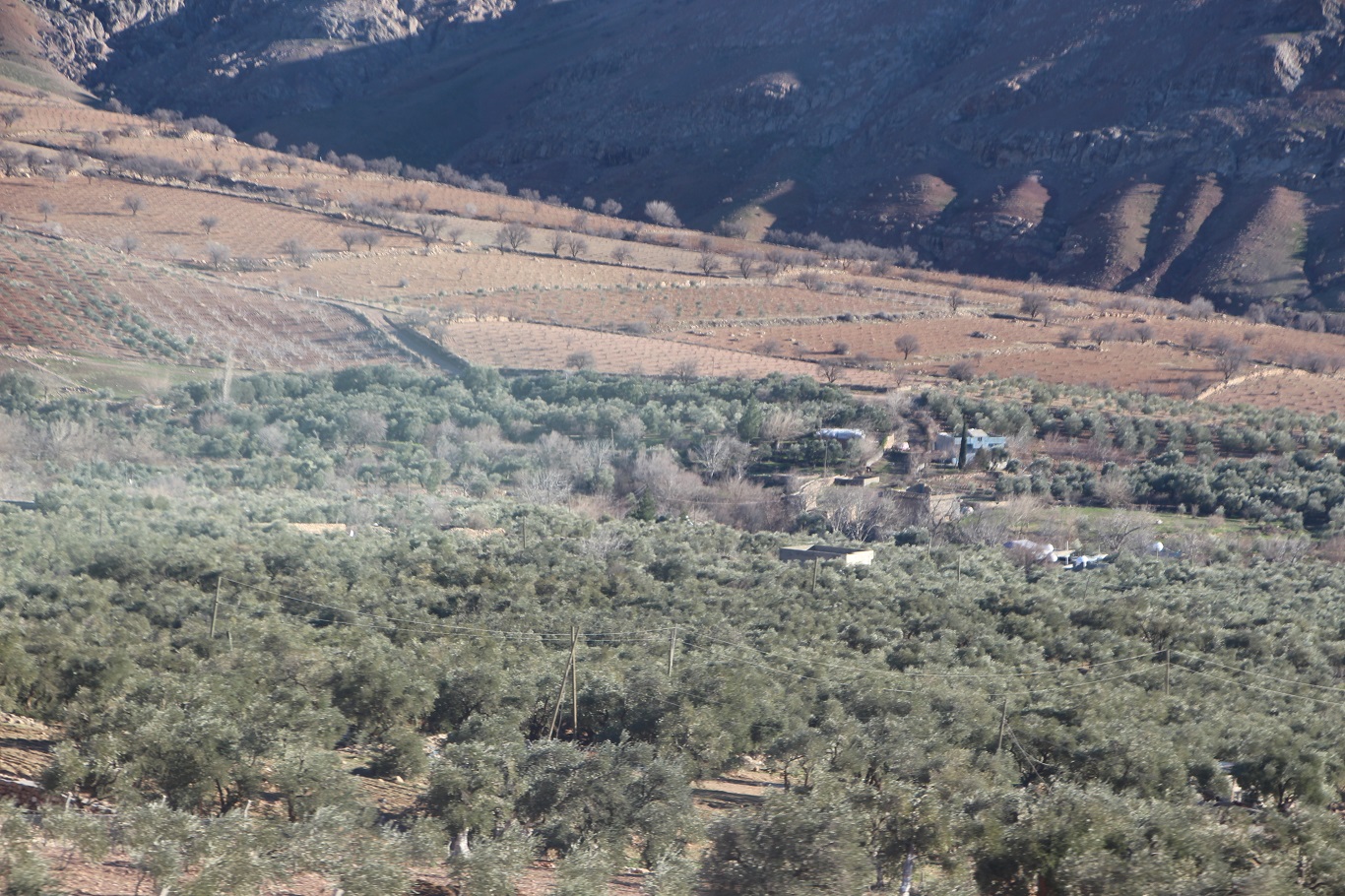 "Bereketin sembolü" olan GAP Şelalesi 2 yılın ardından tekrar eski ihtişamına kavuştu