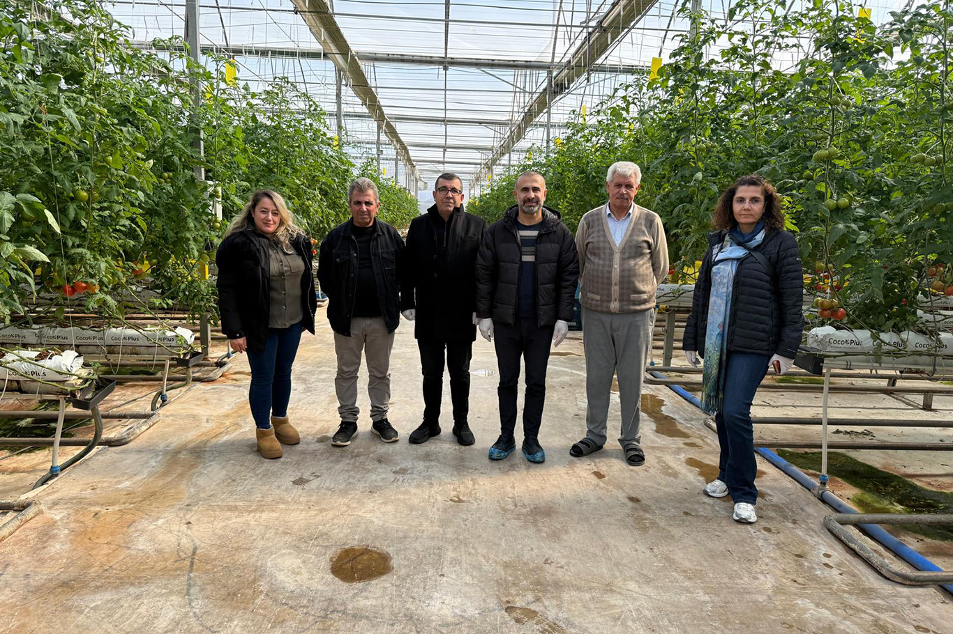 Sera OSB'de topraksız tarım dönemi başladı