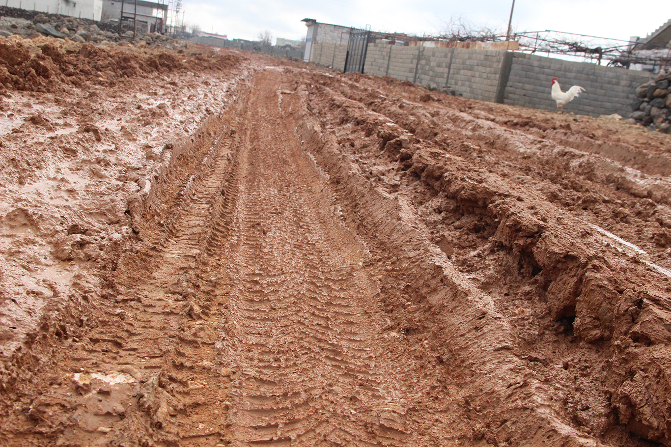İdil'de okul yolları çamur deryasına döndü, öğrenciler okula ulaşmakta zorlanıyor