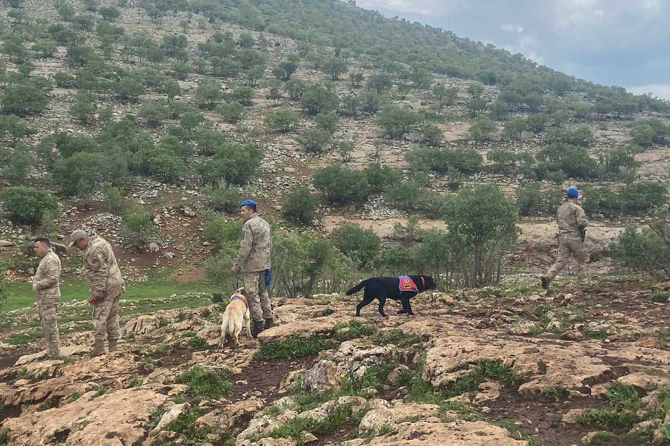 Batman Valiliğinden kayıp Melike'ye ilişkin açıklama