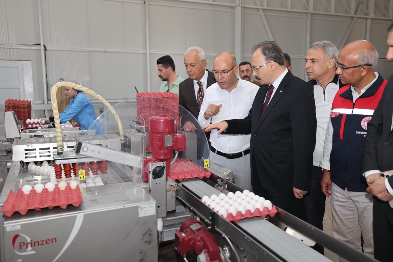 Siirt'te günlük 5 bin koli yumurta üretiliyor
