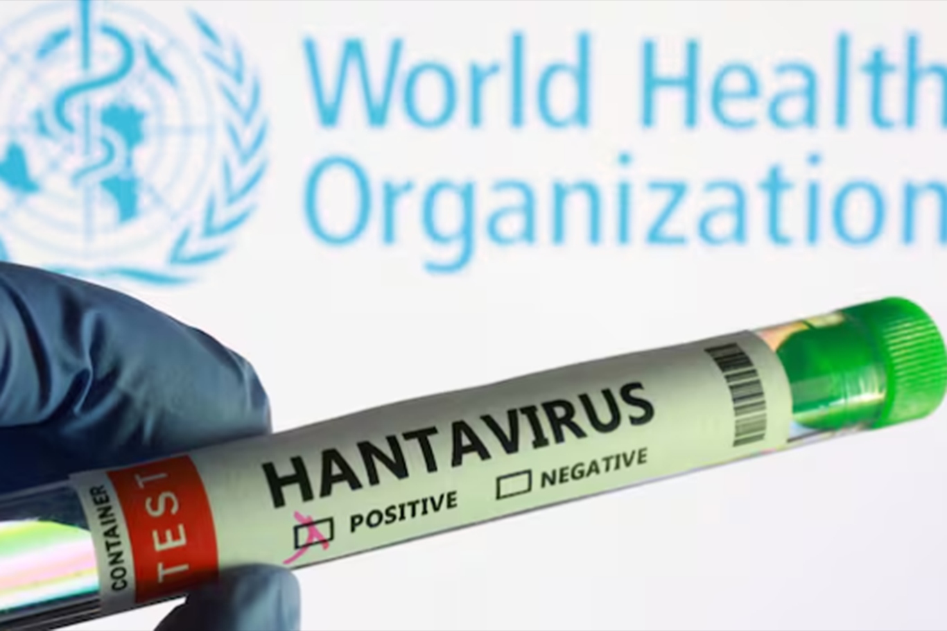 WHO says no new hantavirus-related deaths reported since May 2