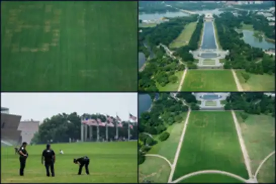 Large "8647" message appears on National Mall, prompting federal investigation