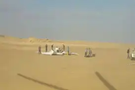 مصر.. وفاة طيارين في حادث جوي وإصابة متدربة