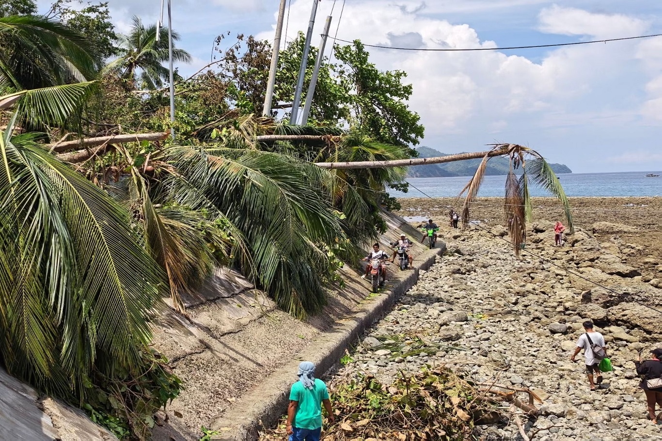 Philippines earthquake lifts seabed by two meters, exposing coral reefs and seagrass beds