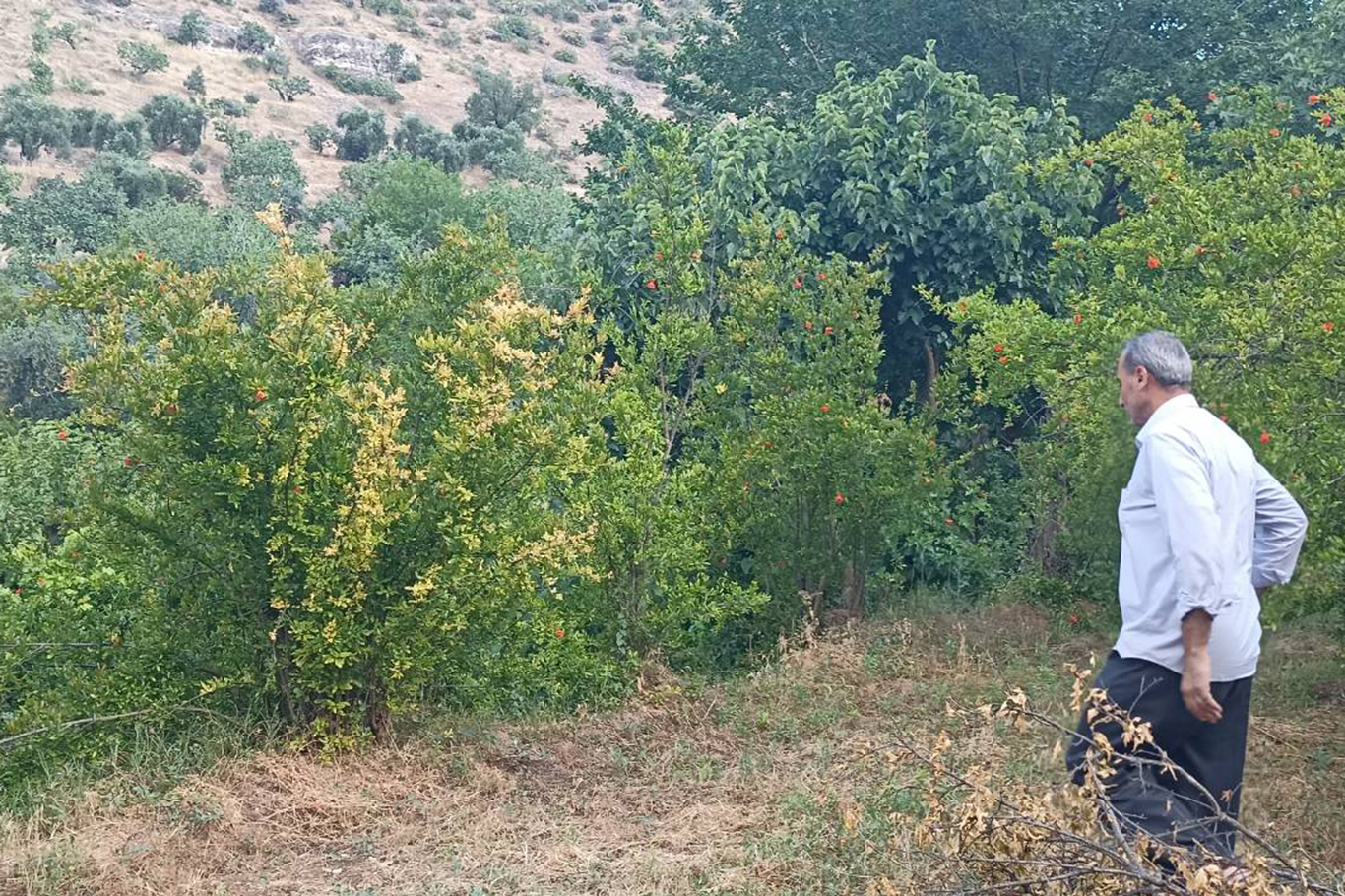 Kuruyan dereler doldu, tabiat yeniden canlandı