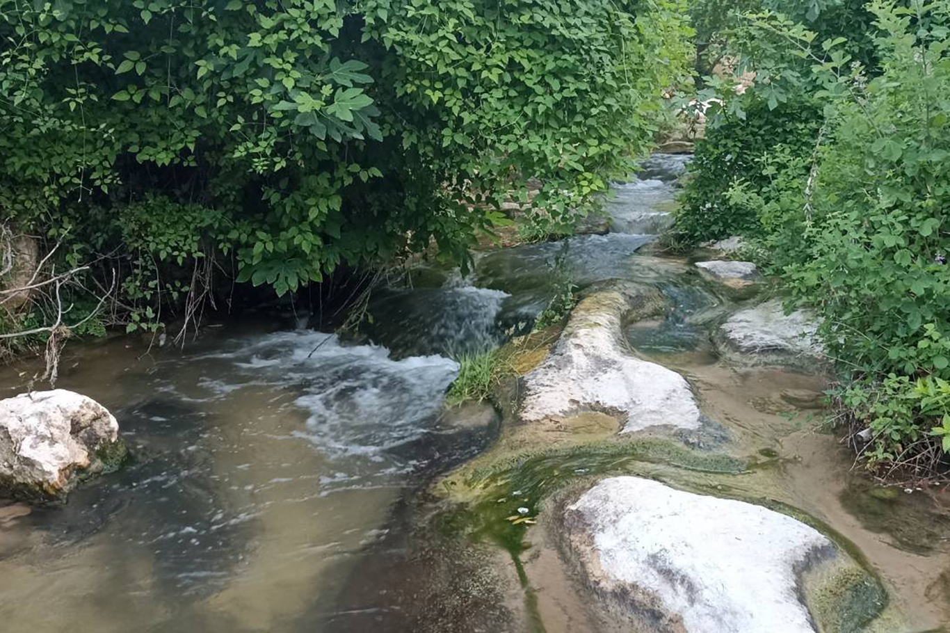 Kuruyan dereler doldu, tabiat yeniden canlandı