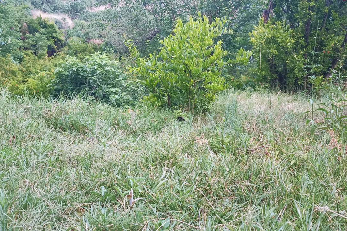 Kuruyan dereler doldu, tabiat yeniden canlandı
