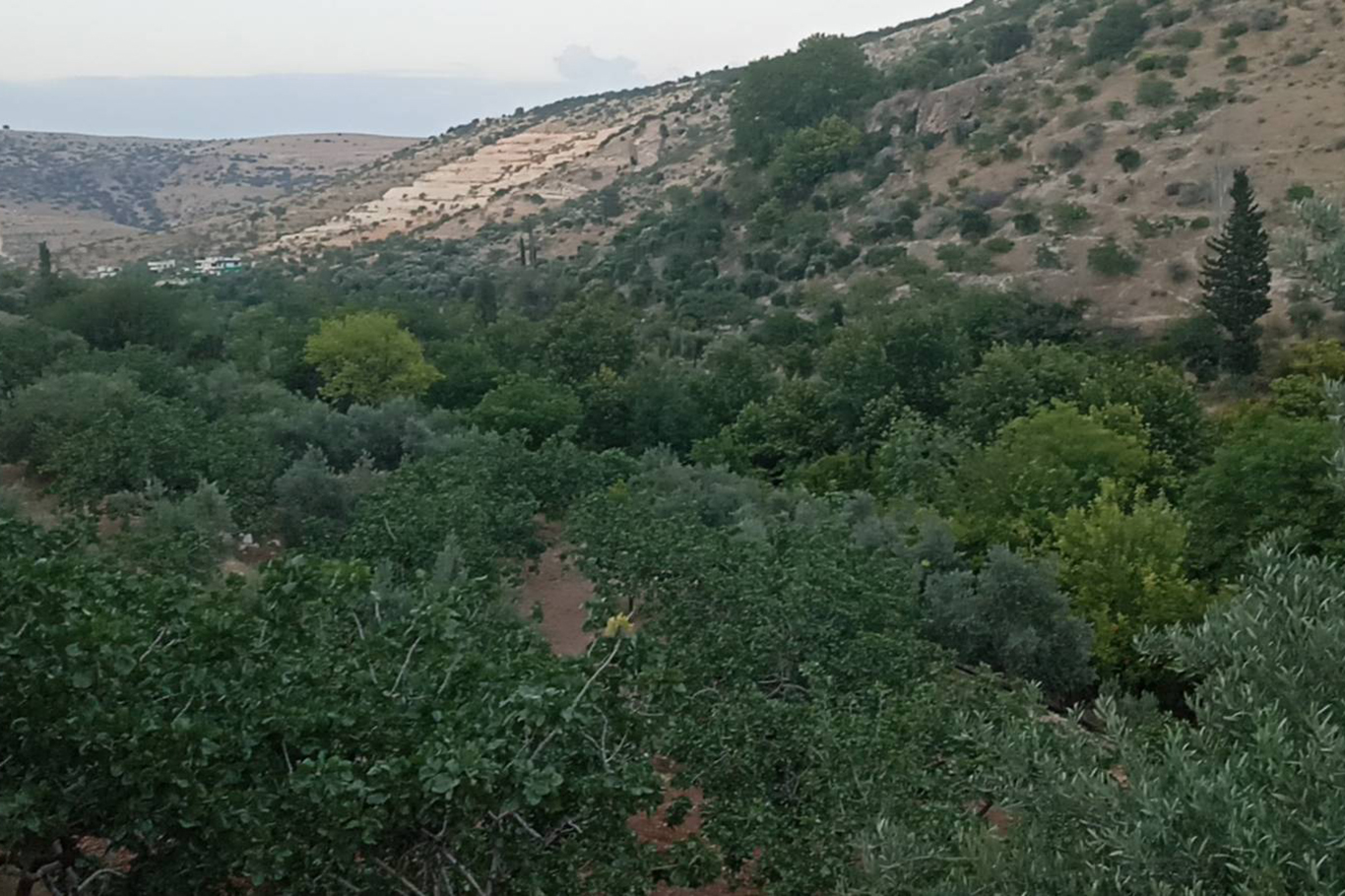 Kuruyan dereler doldu, tabiat yeniden canlandı