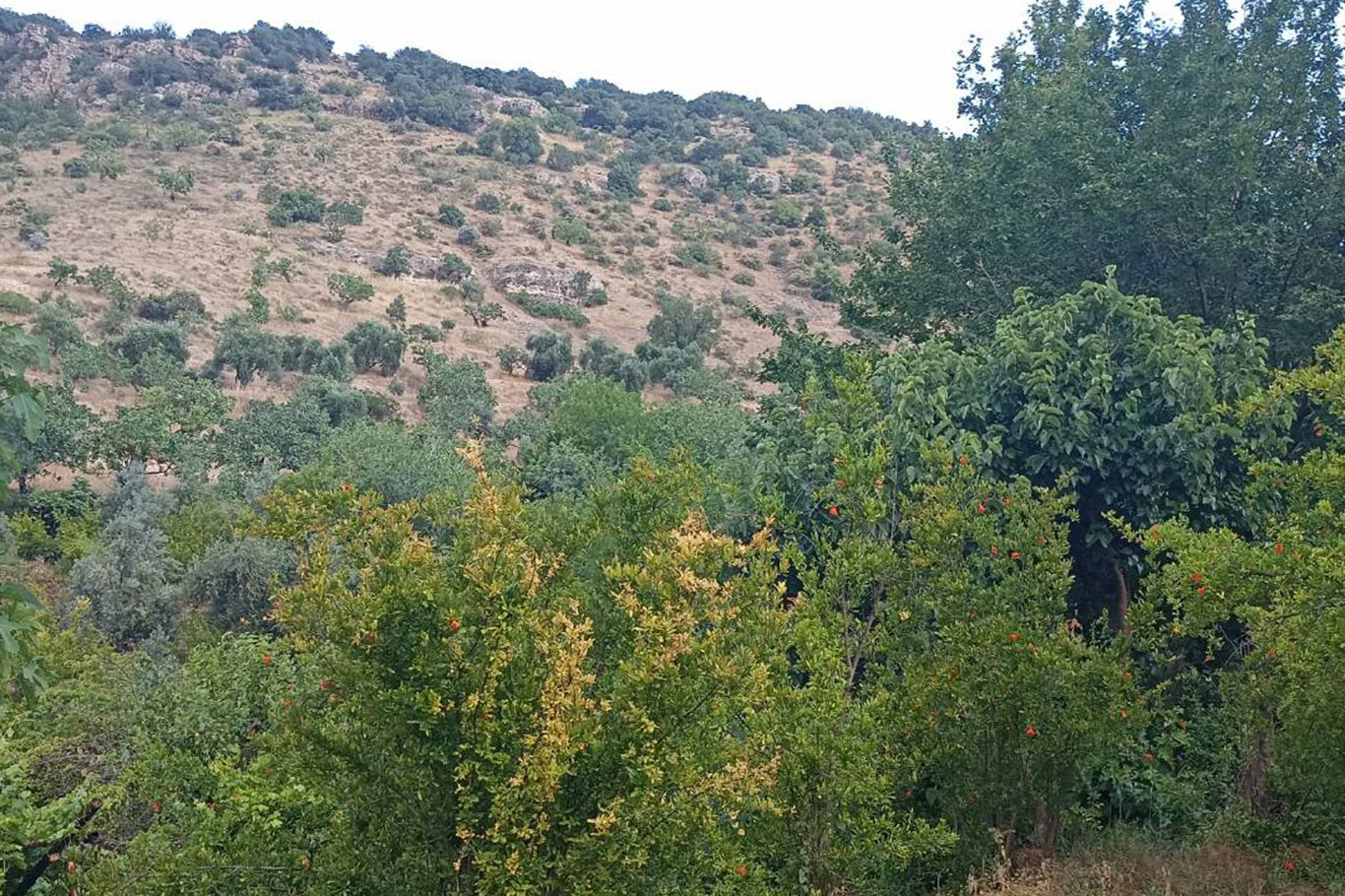 Kuruyan dereler doldu, tabiat yeniden canlandı